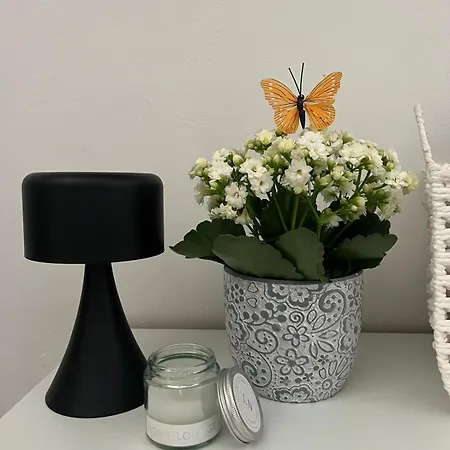 Studio Δωμάτιο Erétria Extérieur photo